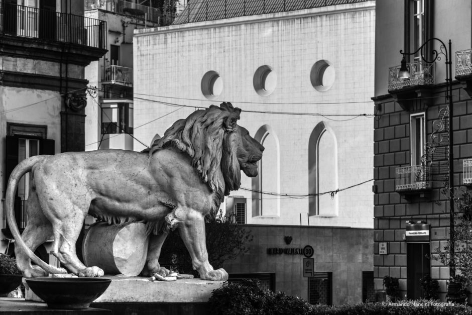 Il leone in piedi (Piazza dei Martiri)